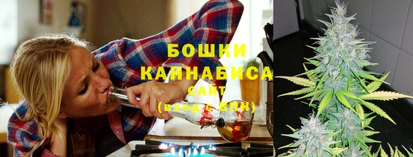 ГАЛЛЮЦИНОГЕННЫЕ ГРИБЫ Беломорск