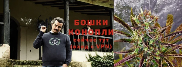 ГАЛЛЮЦИНОГЕННЫЕ ГРИБЫ Беломорск