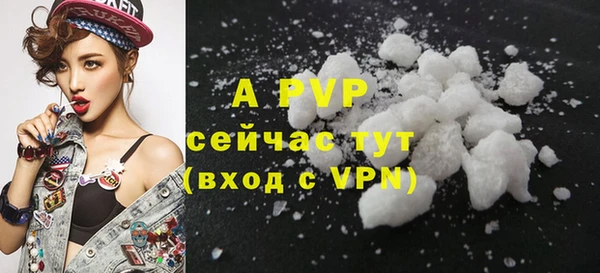 ГАЛЛЮЦИНОГЕННЫЕ ГРИБЫ Костерёво