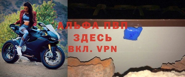 ГАЛЛЮЦИНОГЕННЫЕ ГРИБЫ Беломорск