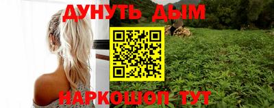 индика Аша