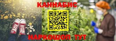 индика Аша