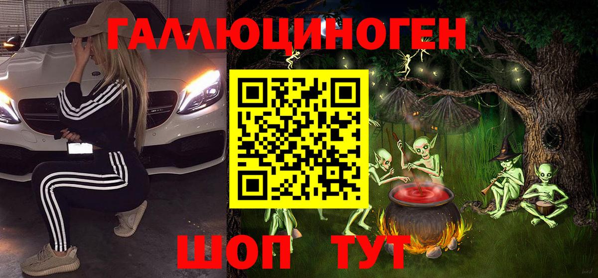 Псилоцибиновые грибы Psilocybe Верхняя Салда
