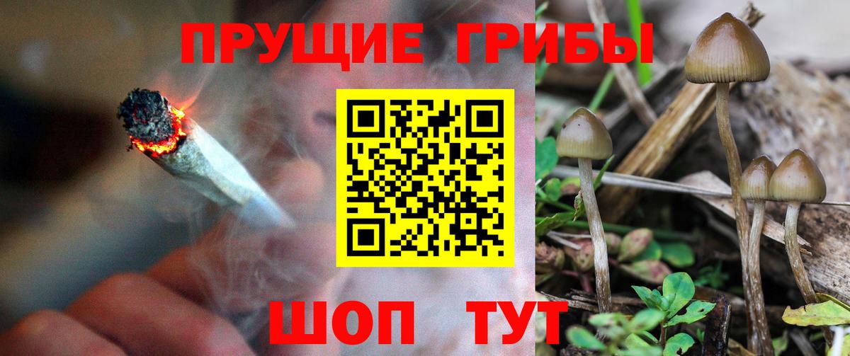Псилоцибиновые грибы прущие грибы  Вход с VPN  Верхняя Салда  Псилоцибиновые грибы ЛСД 