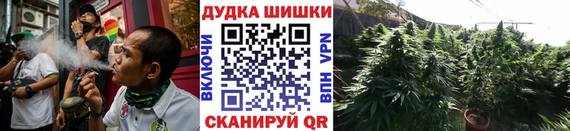 Бошки марихуана сатива  Верхняя Салда 